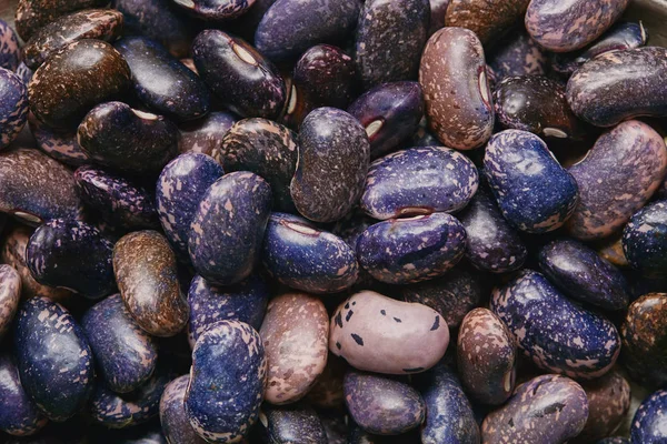 Vista de cerca de la textura de frijoles haricot púrpura secos crudos - foto de stock