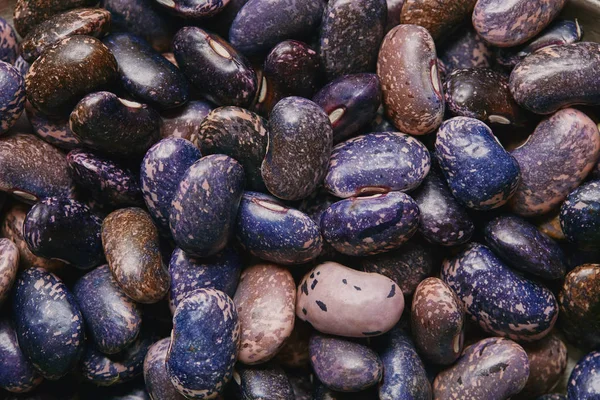 Visão de close-up da textura crua de feijão roxo seco — Fotografia de Stock