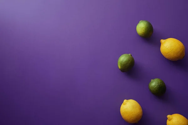 Top view of limes and lemons on violet surface — Stock Photo