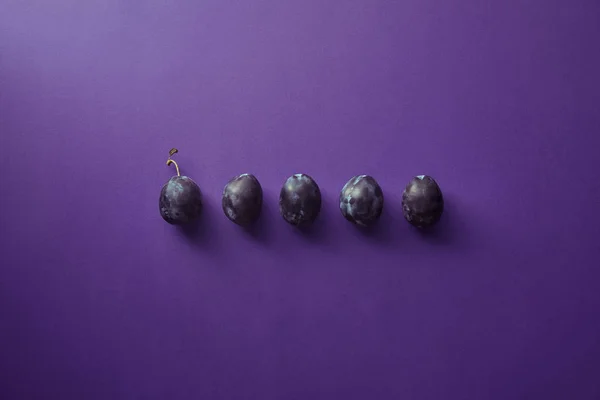 Vue du haut de la rangée de prunes sur la surface violette — Photo de stock
