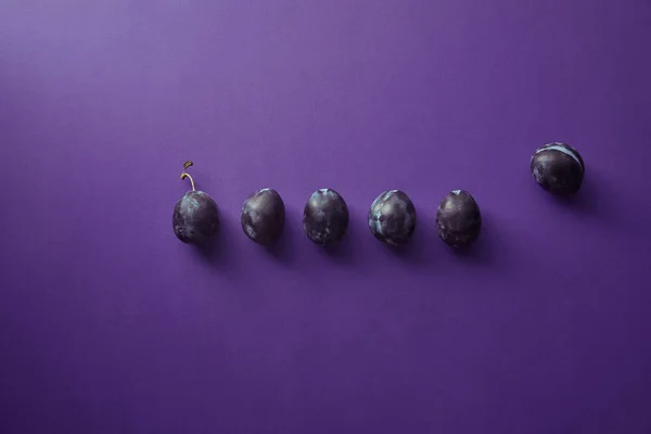 Top view of ripe plums on violet surface — Stock Photo