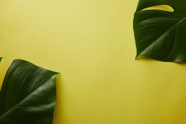 Vista superior de folhas de palmeira na superfície amarela — Fotografia de Stock