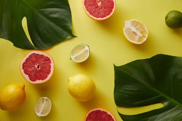 Vista superior de hojas de palmera, pomelos y limones sobre la superficie amarilla - foto de stock