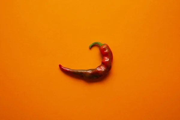 Top view of single red hot chili pepper on orange background — Stock Photo