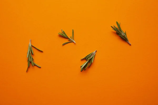 Top view of fresh healthy rosemary on orange background — Stock Photo