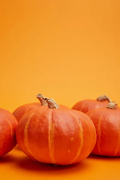 Frische reife helle Kürbisse auf orangefarbenem Hintergrund — Stockfoto