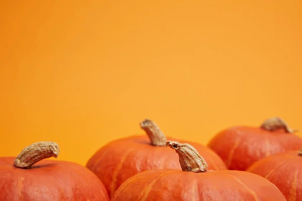 Pile of fresh ripe pumpkins isolated on orange background — Stock Photo