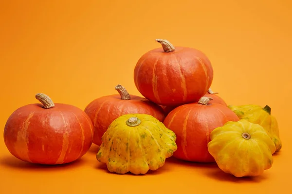 Pile de citrouilles fraîches crues mûres sur fond orange — Photo de stock