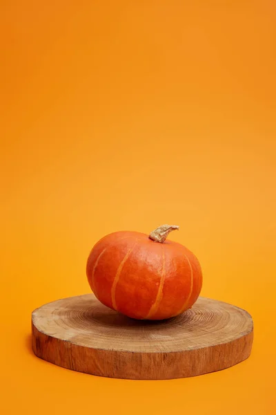 Abóbora madura inteira em tábua de madeira redonda no fundo laranja — Fotografia de Stock