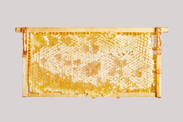 Close up view of organic beeswax on grey background — Stock Photo