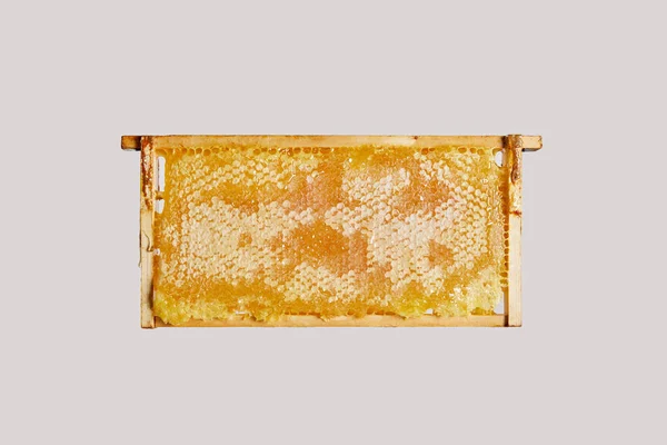 Vista de cerca de la cera de abeja dulce sobre fondo gris - foto de stock