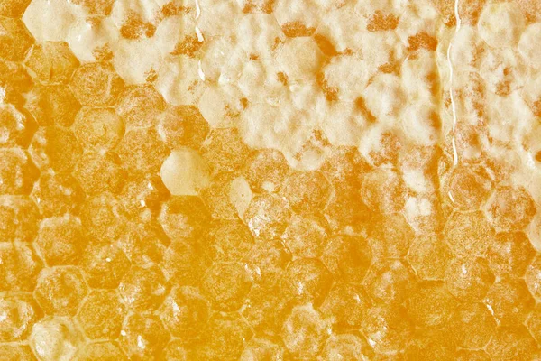 Cornice completa di cera d'api naturale come sfondo — Foto stock