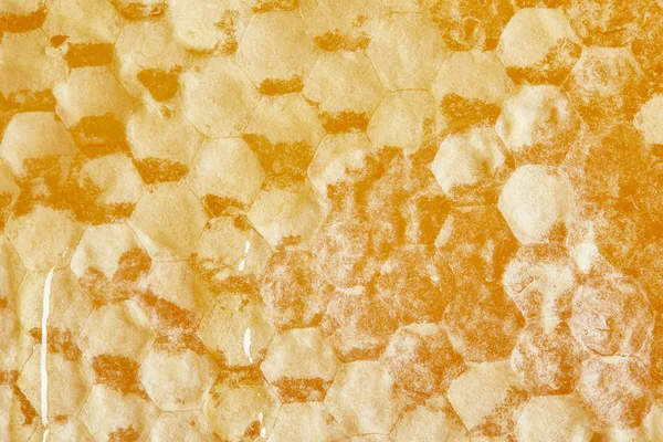 Full frame of organic beeswax with honey as background — Stock Photo
