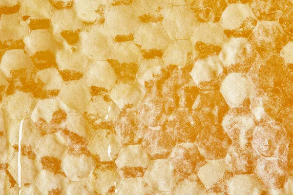 Vollrahmen aus Bienenwachs mit Honig als Hintergrund — Stockfoto