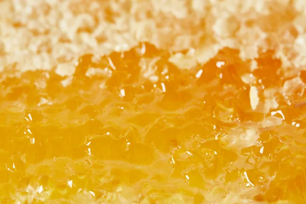 Full frame of organic beeswax with honey as background — Stock Photo
