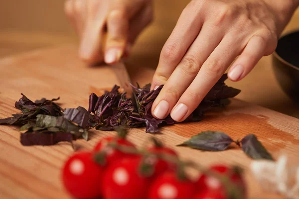 Cropped shot of woman cutting basil leaves — Stock Photo