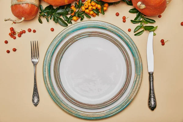 Top view of plates and pumpkins with firethorn berries on thanksgiving table — Stock Photo