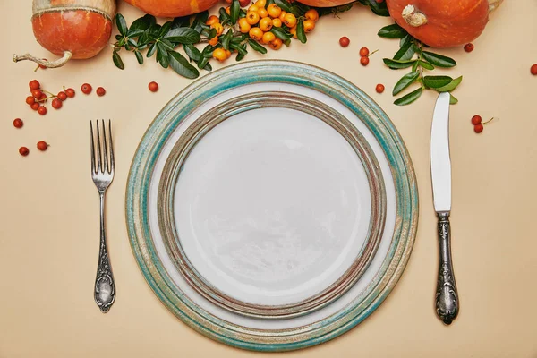 Vue de dessus des assiettes et des citrouilles avec des baies d'épine sur la table d'action de grâces — Photo de stock