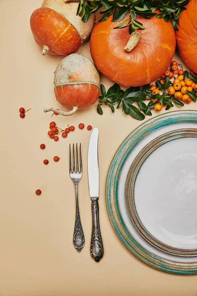 Elevated view of festive table and pumpkins with firethorn berries for thanksgiving day — Stock Photo