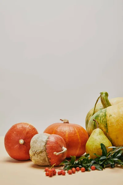 Herbstliche Dekoration mit Kürbissen, Feuerdornbeeren und Blättern auf dem Tisch — Stockfoto