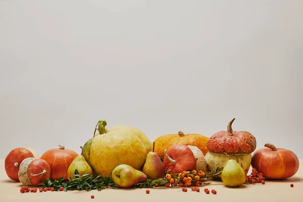 Осіннє прикраса з гарбузами, ягідними ягідками і стиглими смачними грушами на стільниці — стокове фото