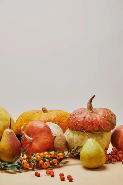 Autumn decoration with pumpkins, pyracantha berries and ripe yummy pears on table — Stock Photo