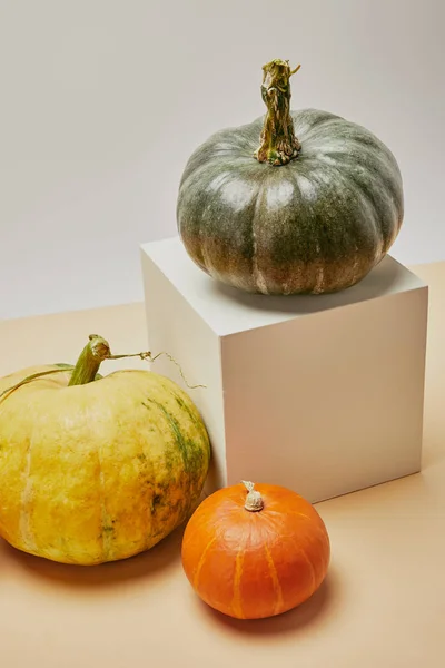 Vue grand angle de la décoration automnale avec citrouilles et cube sur la table — Photo de stock