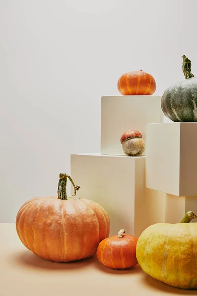 Decoración otoñal con calabazas pequeñas y grandes sobre cubos y mesa - foto de stock