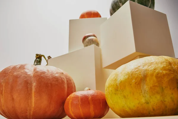 Low angle view of autumnal decoration with pumpkins on cubes — Stock Photo