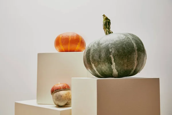 Autumnal decoration with pumpkins on cubes isolated on white — Stock Photo