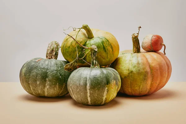 Autumnal harvest of different green pumpkins on table — Stock Photo
