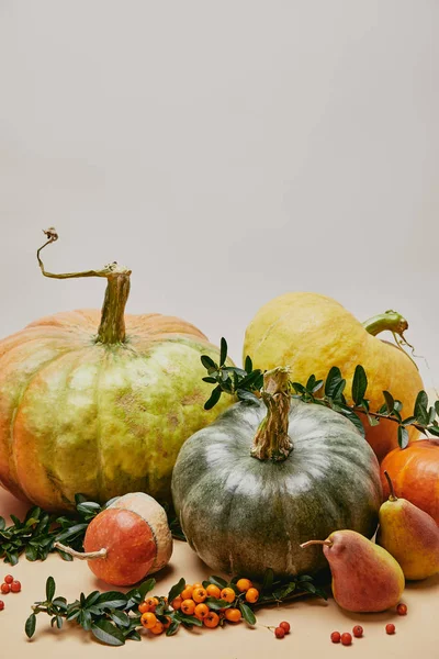 Decoración otoñal con calabazas, peras y bayas de espino sobre la mesa — Stock Photo