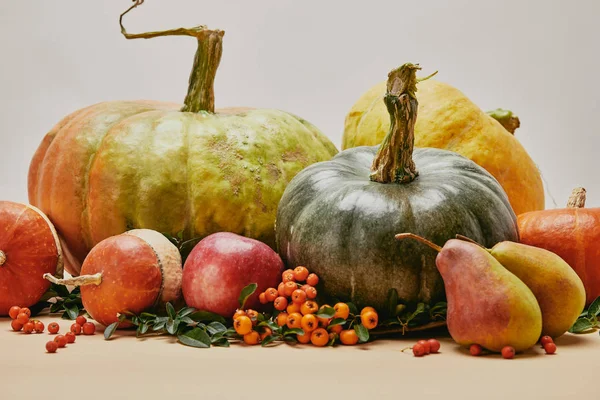 Primer plano de la decoración de otoño con calabazas, manzana, peras y bayas de espino sobre la mesa - foto de stock