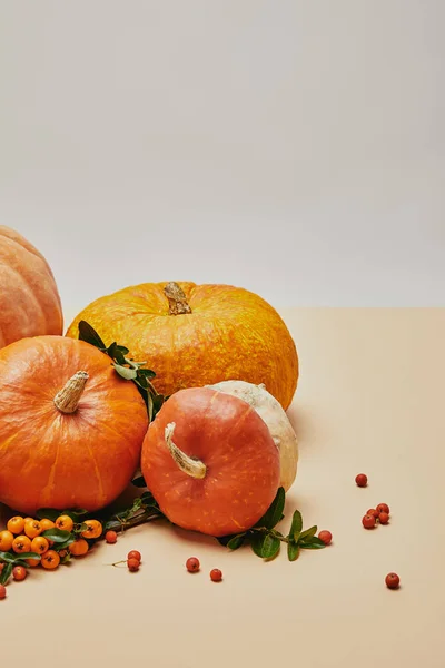 Herbstliche Dekoration mit verschiedenen Kürbissen und Feuerdornbeeren auf dem Tisch — Stockfoto