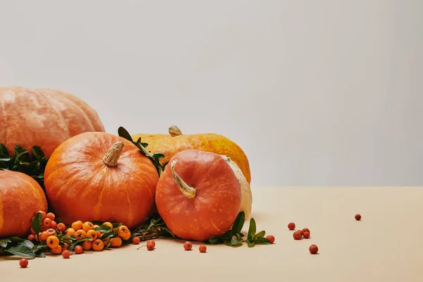 Autumnal decoration with pumpkins and firethorn berries on beige table — Stock Photo