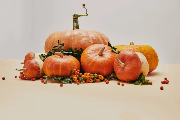 Decoración de temporada con calabazas y bayas de espino sobre la mesa — Stock Photo