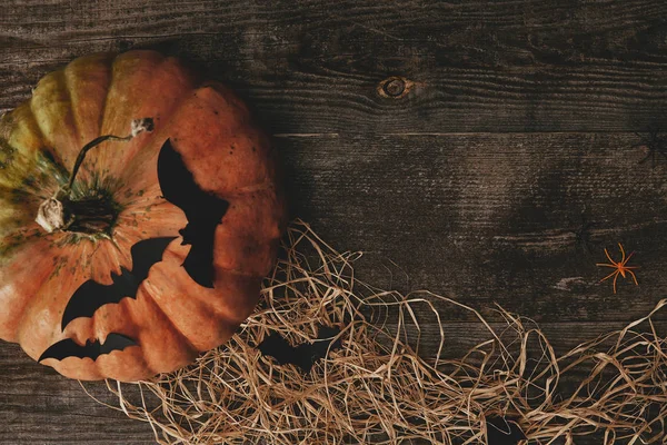 Vista dall'alto di zucca, fieno e pipistrelli di carta su tavolo in legno, concetto di Halloween — Foto stock