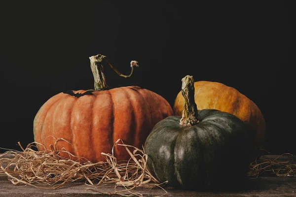 Tres calabazas maduras y murciélago de papel en la mesa, concepto de Halloween - foto de stock