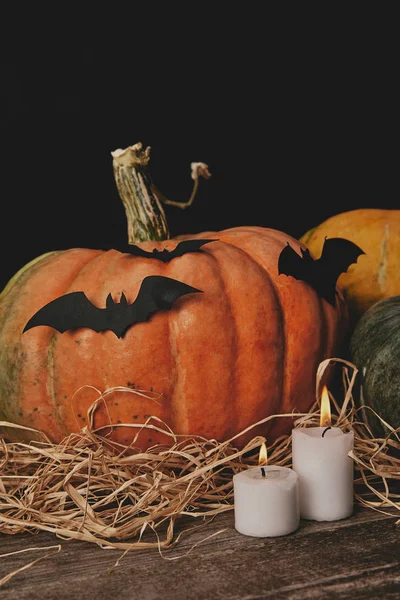 Kürbisse, Kerzen und Papierfledermäuse auf dem Tisch, Halloween-Konzept — Stockfoto