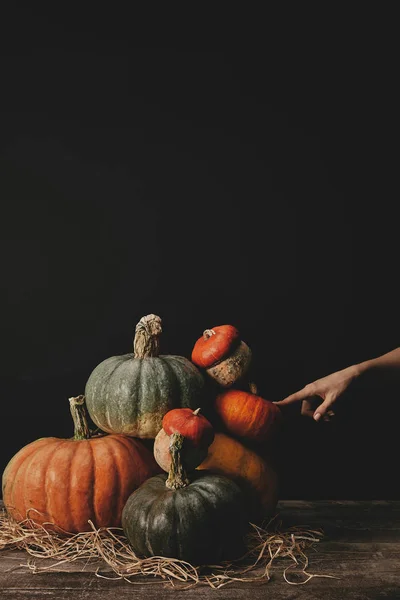 Imagen recortada de la mujer tocando calabazas en la mesa, concepto de Halloween — Stock Photo