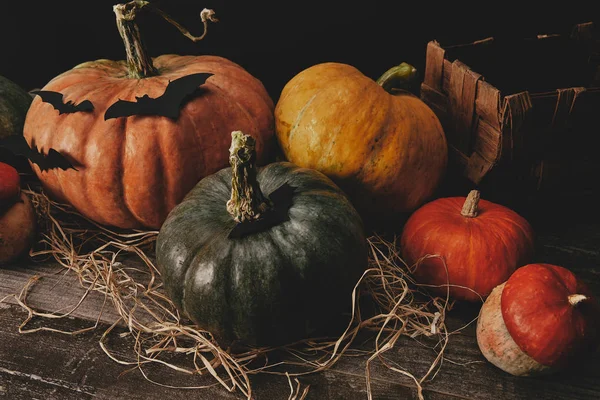 Vue grand angle des citrouilles et des chauves-souris en papier sur table en bois, concept halloween — Photo de stock