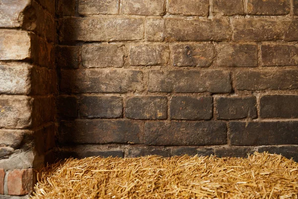 Vieux mur de briques rustique et de paille pour le fond — Photo de stock