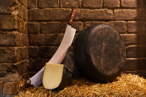 Hard cheese head with double handled cheese knife on straw in front of brick wall — Stock Photo