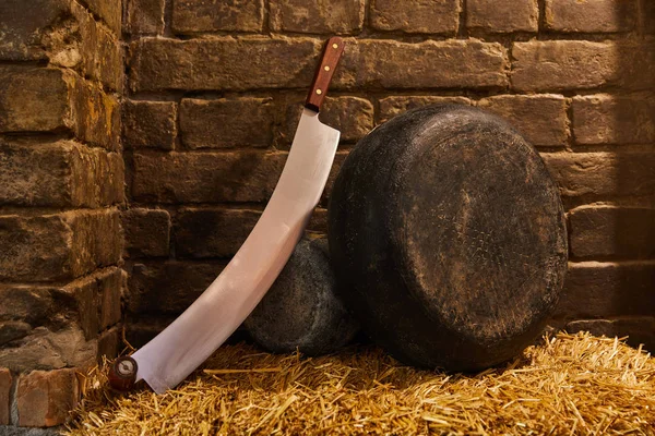 Cabeza de queso duro con cuchillo de queso de doble mango en paja delante de la pared de ladrillo - foto de stock