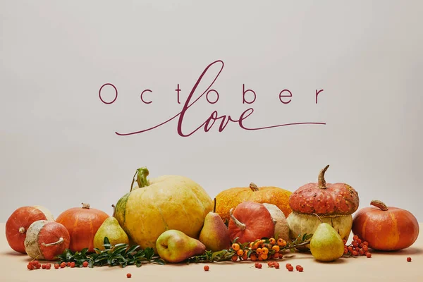 Автономне прикраса гарбузами, ягідками ялинки та стиглими смачними грушами на стільниці з написом OCTOBER LOVE — стокове фото
