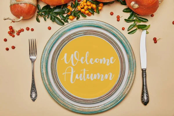 Vista superior de placas e abóboras com bagas de espinheiro na mesa de ação de graças com letras WELCOME AUTUMN — Fotografia de Stock