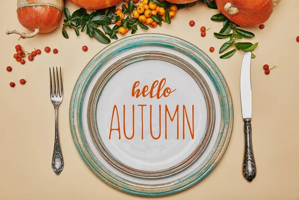 Vista superior de placas e abóboras com bagas de espinheiro na mesa de ação de graças com letras HELLO AUTUMN — Fotografia de Stock