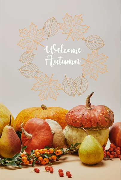 Autumnal decoration with pumpkins, firethorn berries and ripe yummy pears on tabletop with WELCOME AUTUMN lettering — Stock Photo