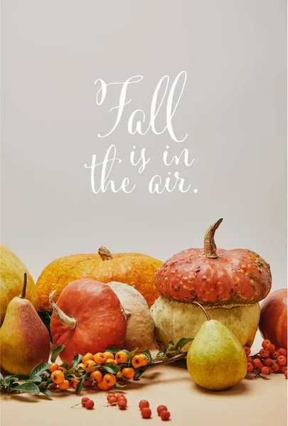 Autumnal decoration with pumpkins, firethorn berries and ripe yummy pears on tabletop with FALL IS IN THE AIR lettering — Stock Photo