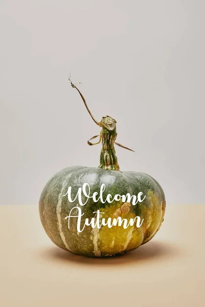 Одна осенняя зеленая тыква на бежевом столе с надписью WELCOME AUTUMN — стоковое фото